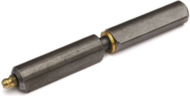 Dulimex Aanlaspaumelle smeernippel stalen pen en messing ring 180x22 mm blank staal
