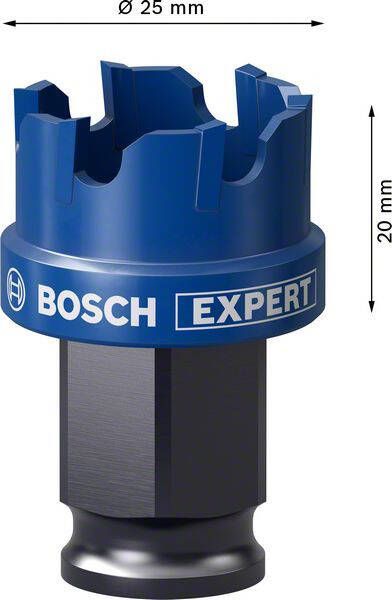 Bosch Expert Sheet Metal gatzaag 25 x 40 mm 1 stuk(s)