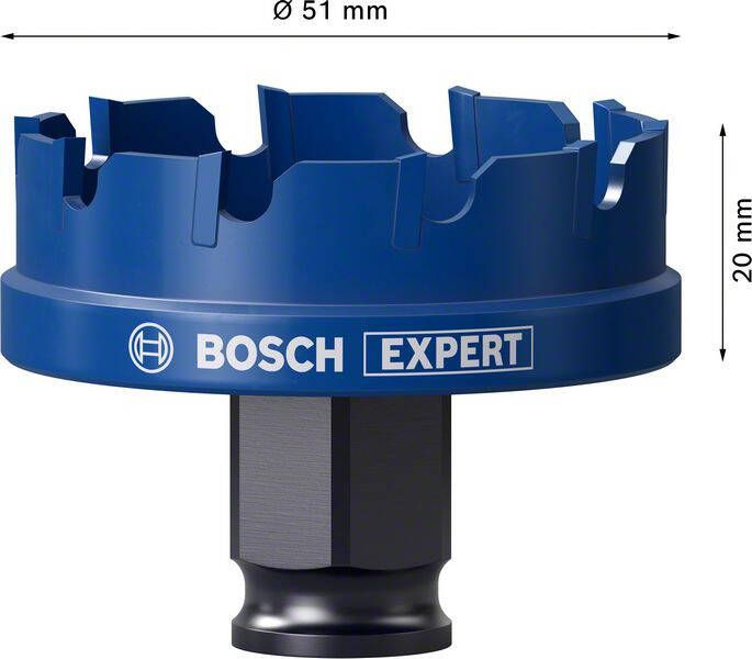 Bosch Expert Sheet Metal gatzaag 51 x 40 mm 1 stuk(s)